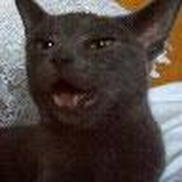 catianna